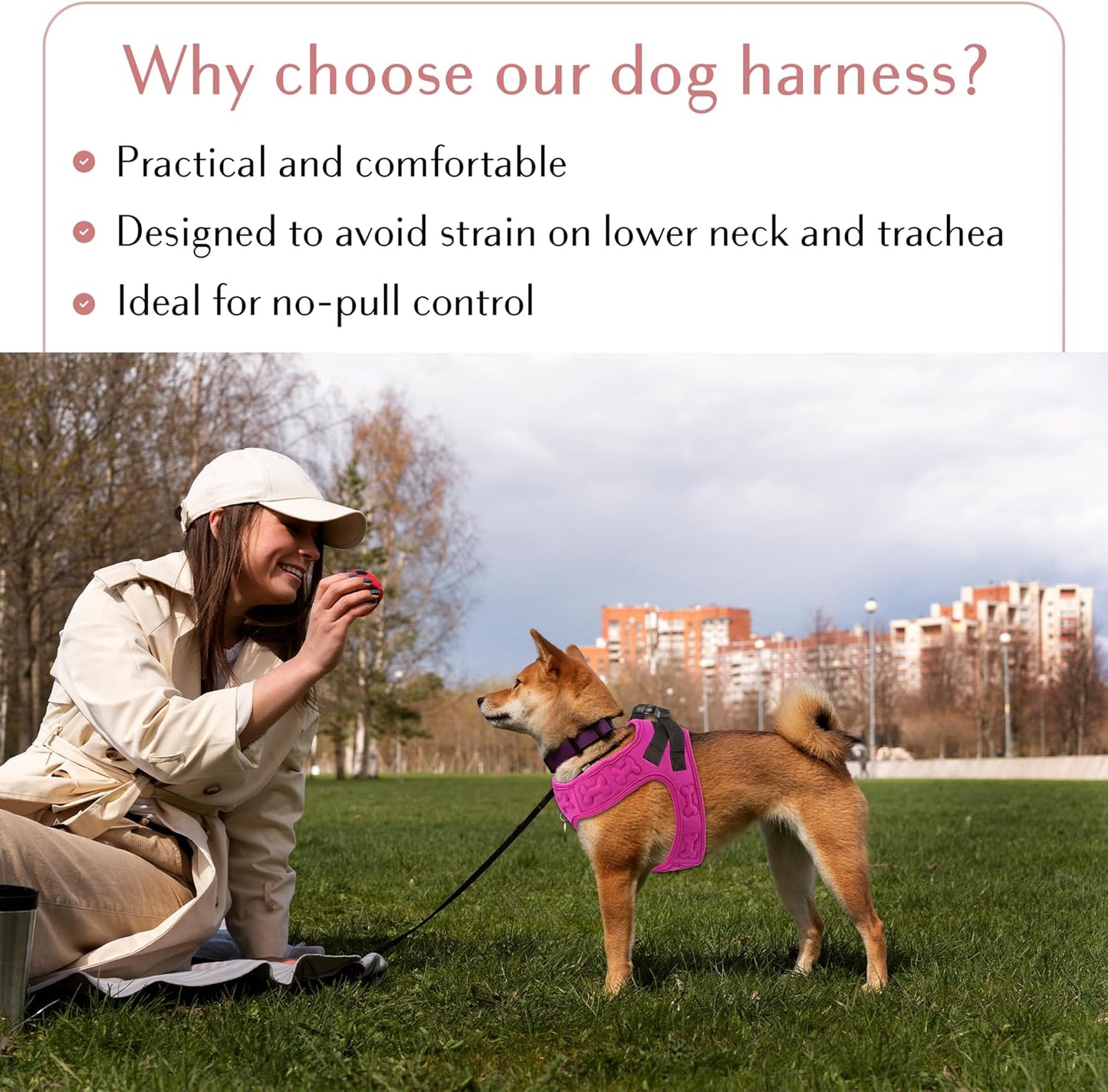 Say goodbye to pulling! 🐾 Discover our Comfort Fit Dog Harness - soft, padded, and adjustable for all sizes. Perfect for walks, jogs, and training your furry friend! 🐶❤️ #DogLovers #NoPullHarness #HappyPups