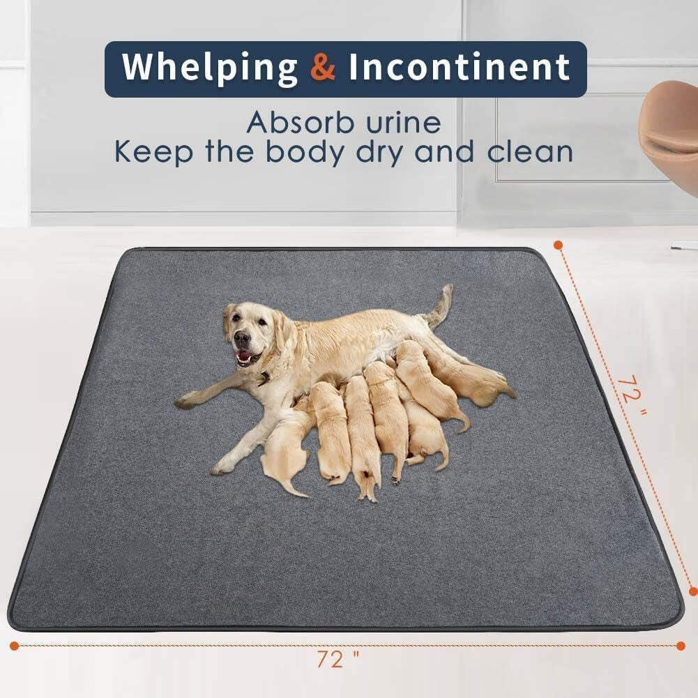 Ultimate Extra Large Washable Dog Pee Pads - Perfect for Puppy Training and Playpens! 🐾💧