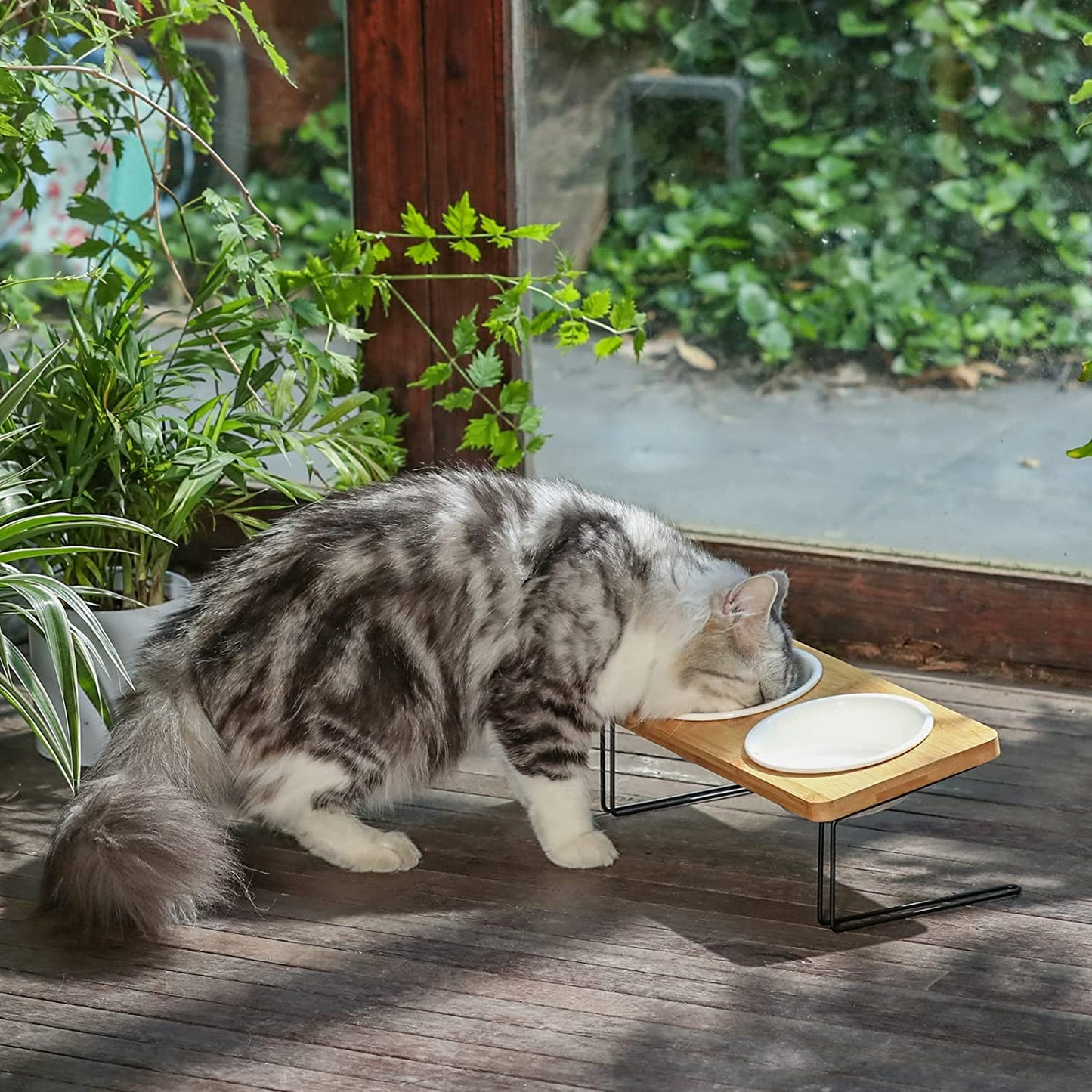 Stylish Elevated Cat & Small Dog Bowls with Bamboo Stand - Perfect Feeding Solution! 🐾✨