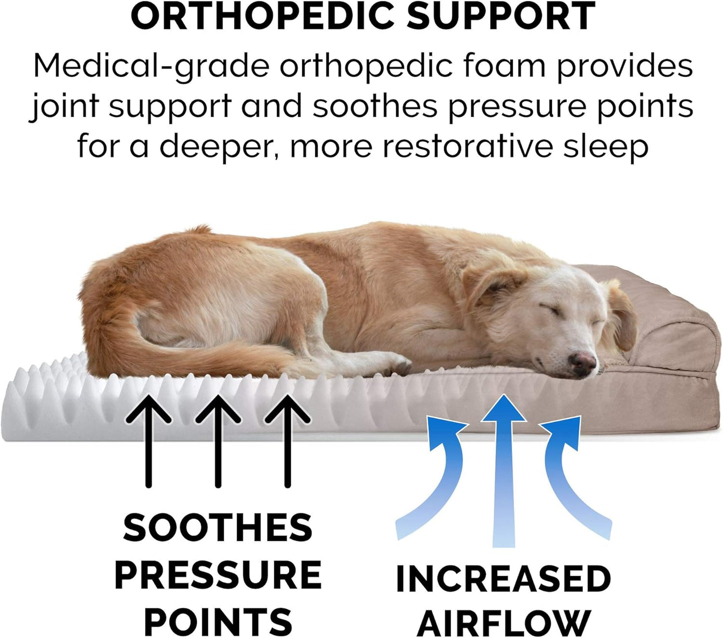 Upgrade your pup's comfort with our Orthopedic Dog Bed! Perfect for medium to large dogs (up to 55 lbs), featuring removable bolsters and a washable cover. Plush suede in Almondine! 🐾🛏️ #DogLovers #PetComfort