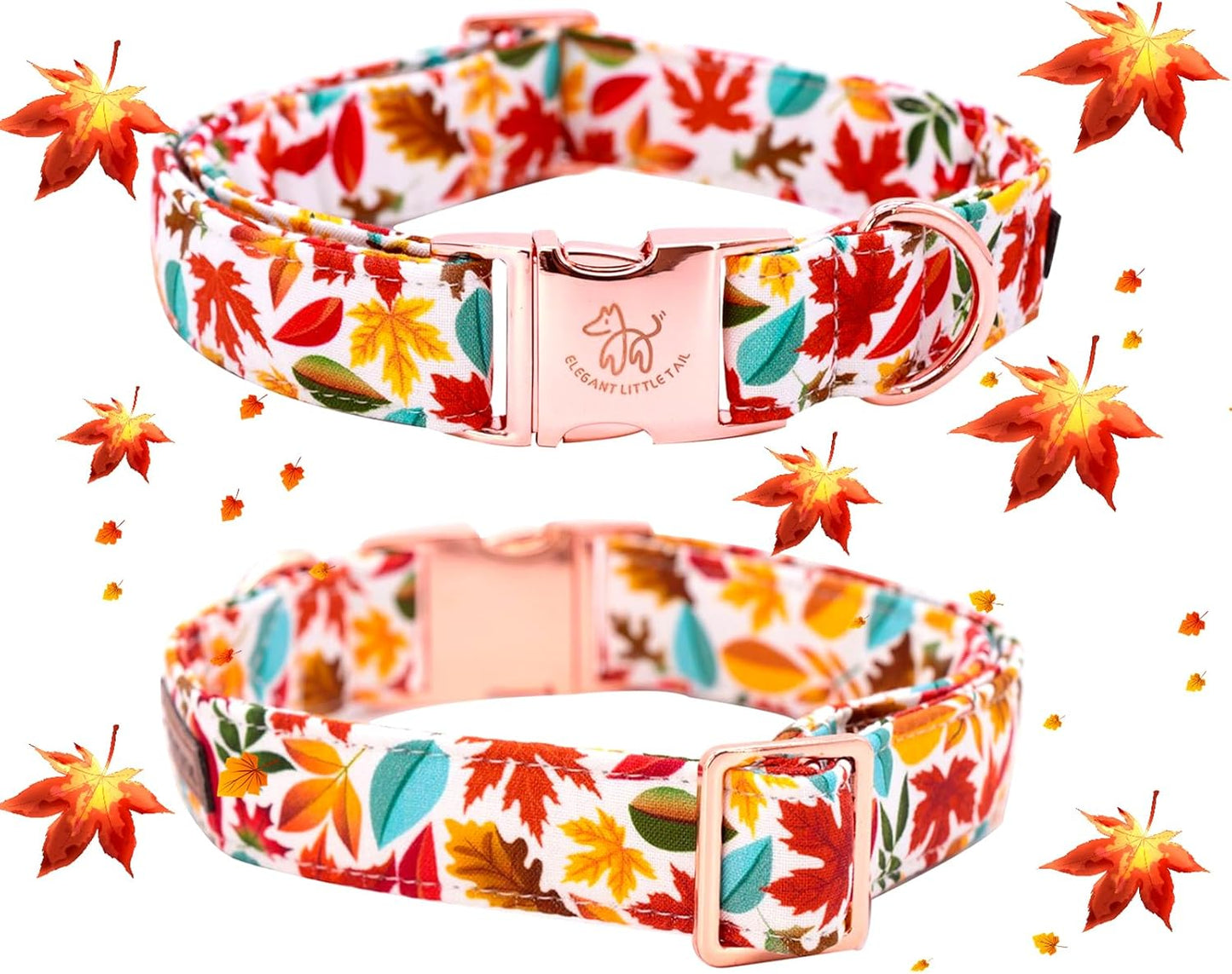 Stylish Fall Dog Collars with Bow Ties - Perfect for Your Furry Fashionista! ๐๐พ