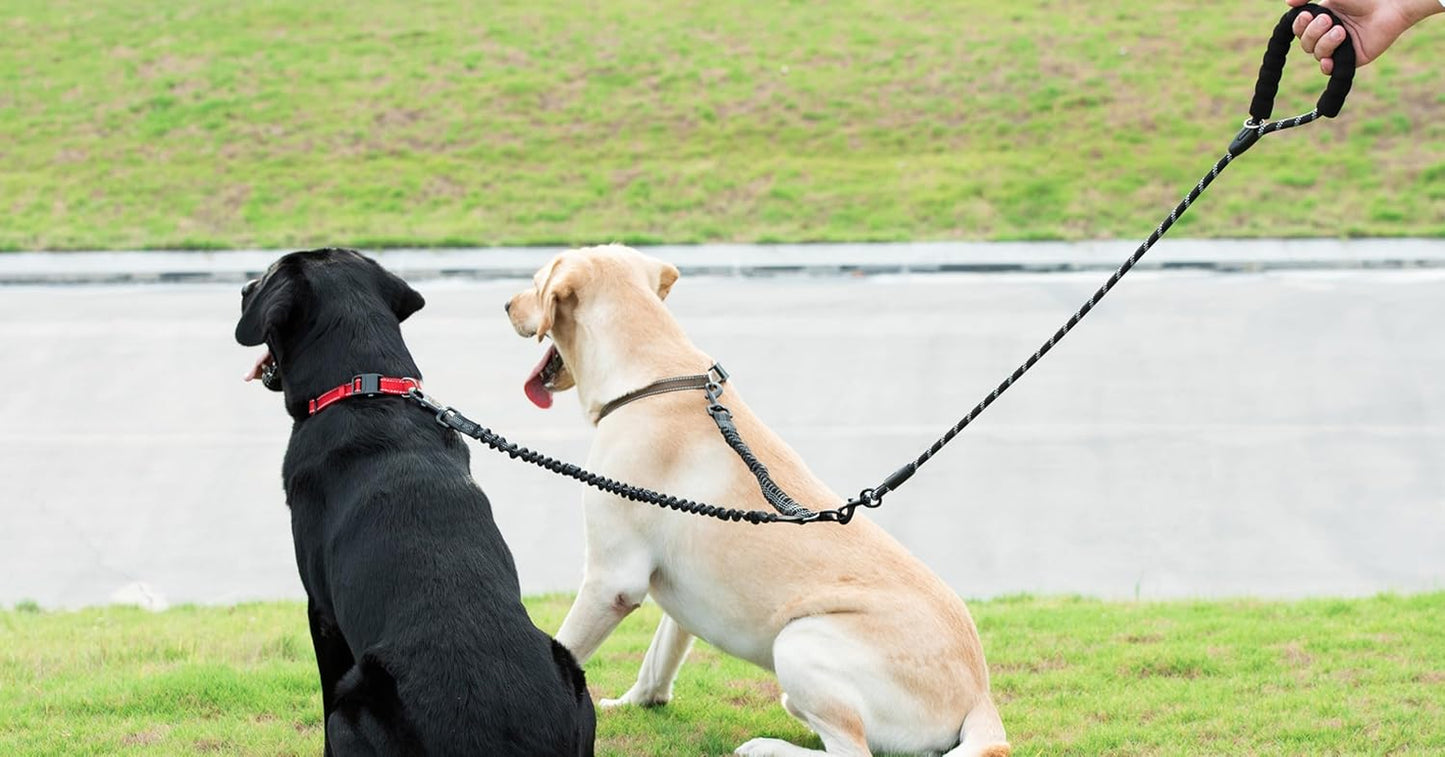 Walk Together, Untangled! 🐾✨ Introducing the Dual Dog Leash - 360° Swivel & Shock Absorbing Bungee for Stress-Free Strolls with Your Furry Duo! Perfect for Large Pups (25-150 Lbs) 🐶❤️ #DogLovers #PetParenting