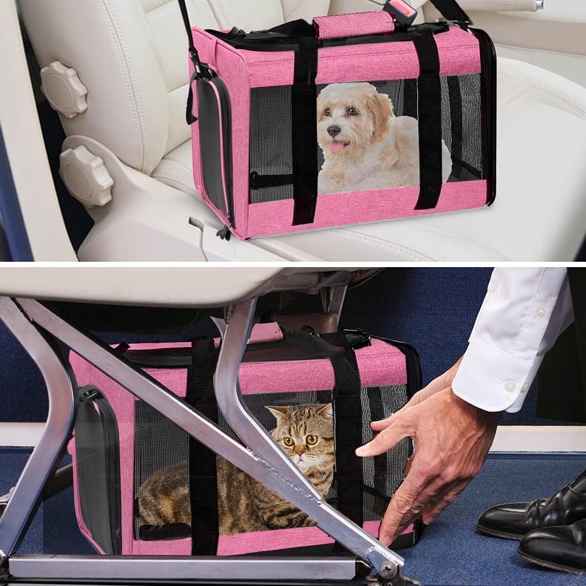 The Purrfect Travel Buddy: Large Rose Pet Carrier for Cats and Dogs Up to 25 Lbs - Collapsible & Comfy!
