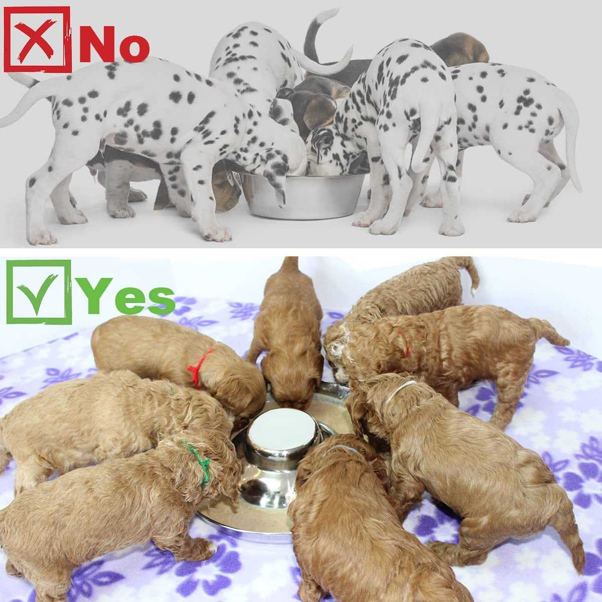 Stainless Steel Puppy Dog Bowls, Pets Puppies Feeding Food and Water Weaning Bowls Dishes Feeder