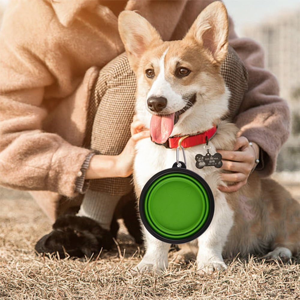 β¨ Must-Have Travel Dog Bowls! ππ₯€π½οΈ 34oz Collapsible & Portable - Perfect for Adventures! πΎ 2-Pack in Fun Green & Blue! ππ #PetEssentials #DogLovers
