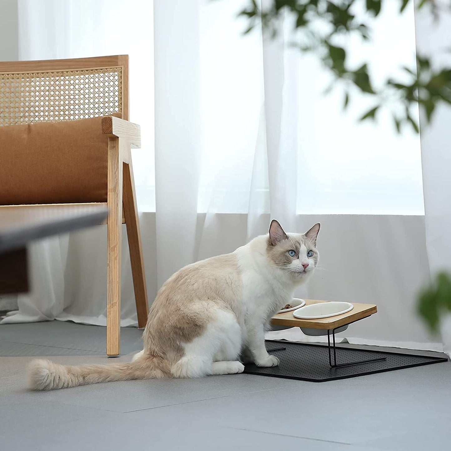 Stylish Elevated Cat & Small Dog Bowls with Bamboo Stand - Perfect Feeding Solution! 🐾✨