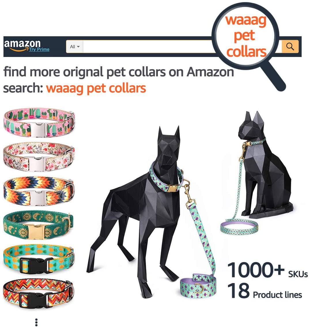 Tropical Vibes for Your Furry Friends! πΎπ΄ Stylish Cat & Dog Collars and Leashes for All Sizes! πΆπ»
