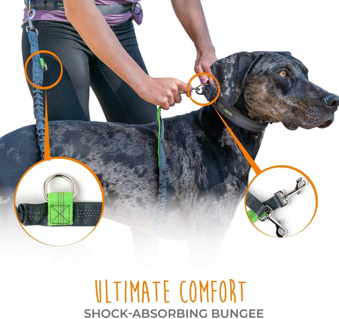 Say goodbye to tangled leashes! 🐾🚶♀️ Check out our Hands-Free Bungee Waist Leash for hassle-free dog walks with your furry friends! Perfect for all breeds and sizes! 💪🐶 #DogWalking #HandsFreeLeash