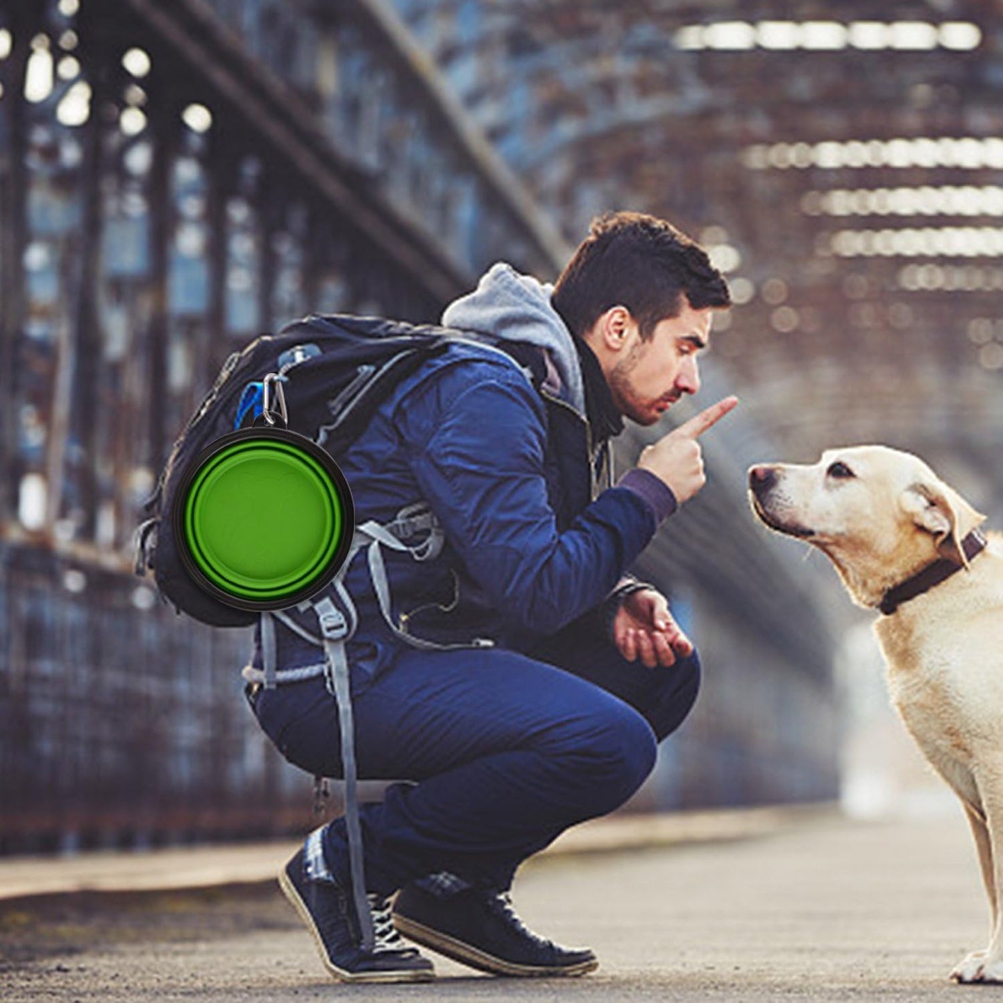 β¨ Must-Have Travel Dog Bowls! ππ₯€π½οΈ 34oz Collapsible & Portable - Perfect for Adventures! πΎ 2-Pack in Fun Green & Blue! ππ #PetEssentials #DogLovers