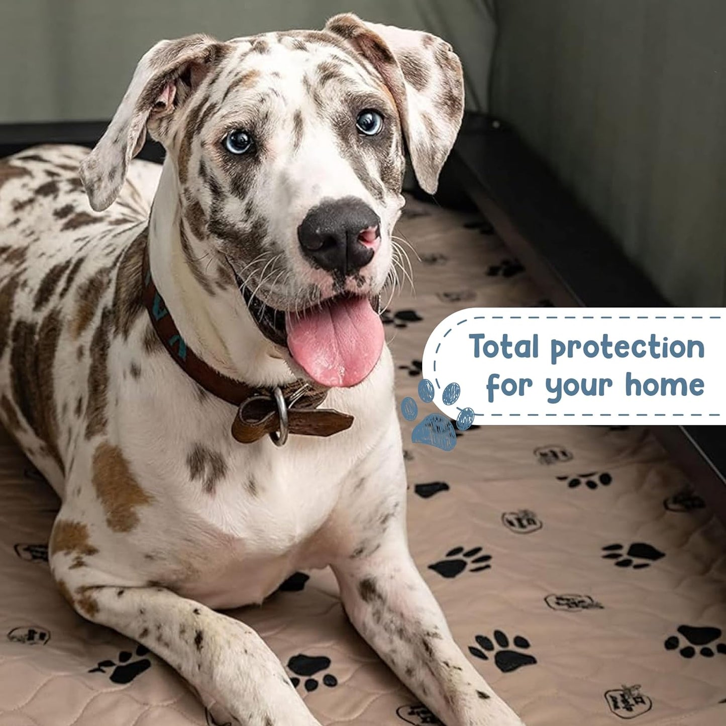 Mess? Paws-itively Gone! 🐾 Snag Our 2-Pack of Reusable Dog Pee Pads – Washable, Waterproof & Whelping-Approved!🐶💧 Sizes: 16.5x19.5 Inches with Rounded Corners for Furry Comfort!✨