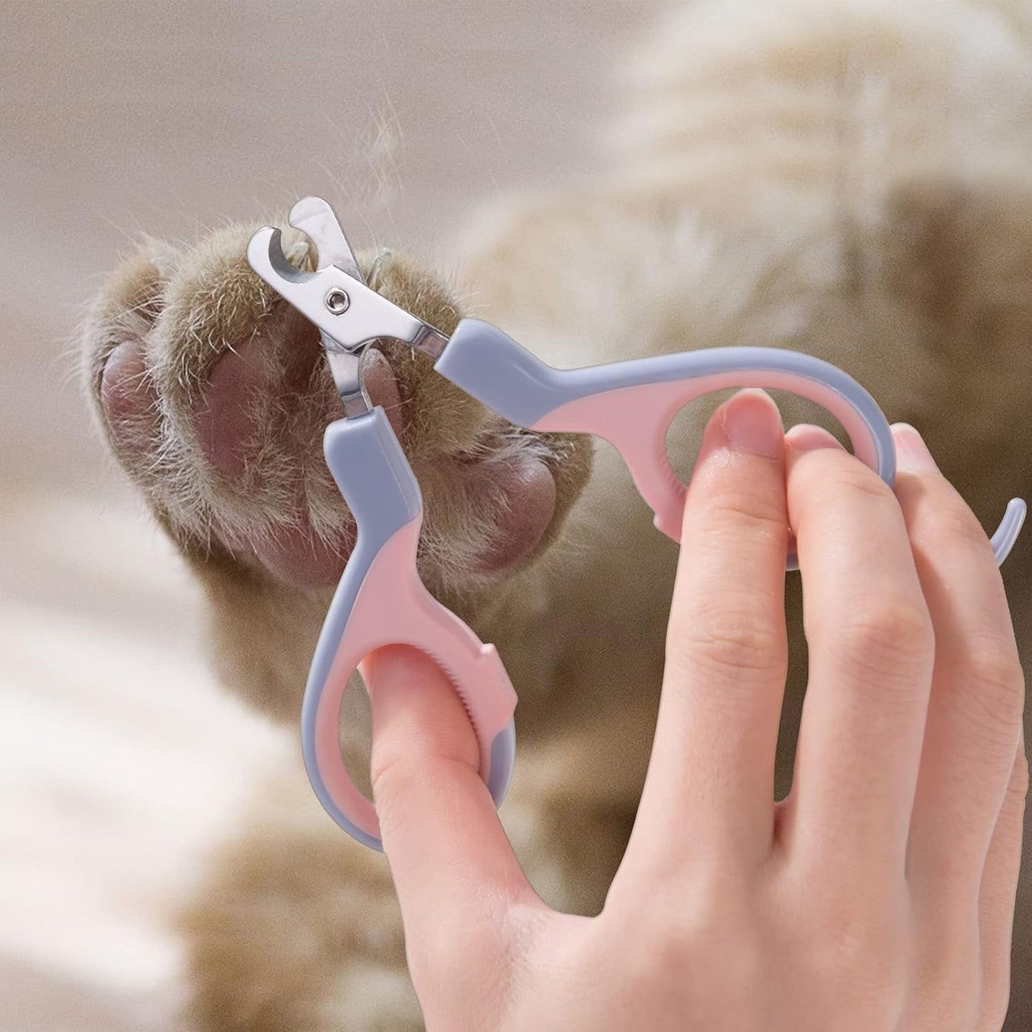 Keep Your Furry Friends Groomed with Our Safe & Easy-to-Use Nail Clippers for Dogs and Cats! 🐾✂️
