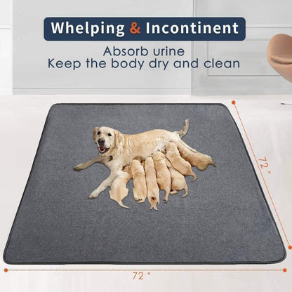 Ultimate Extra Large Washable Dog Pee Pads - Perfect for Puppy Training and Playpens! 🐾💧