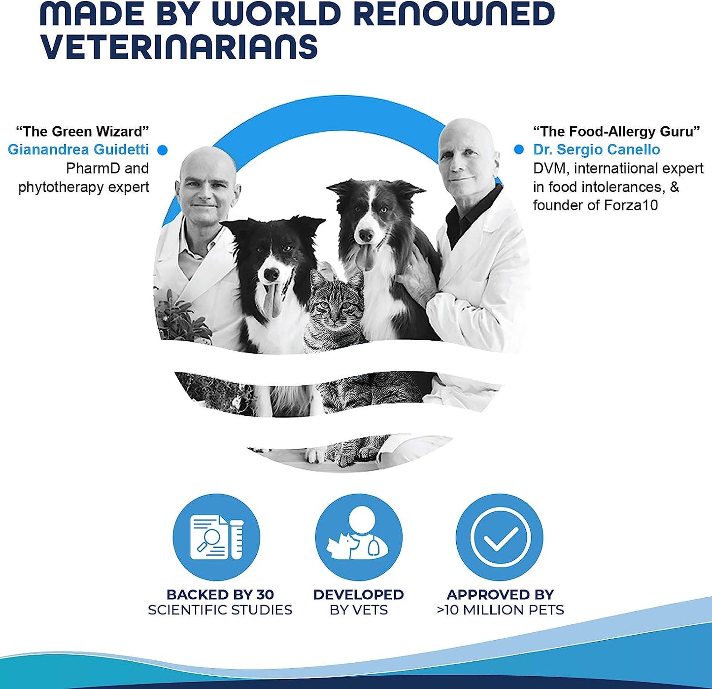 Forza10 Legend Sensitive Skin Dog Food, Grain Free Dry Dog Food for Sensitive Skin with Curative Herbs, Wild Caught Anchovy Flavor Allergy Dog Food, for Adult Dogs, Pack of 1 (5 Pounds)