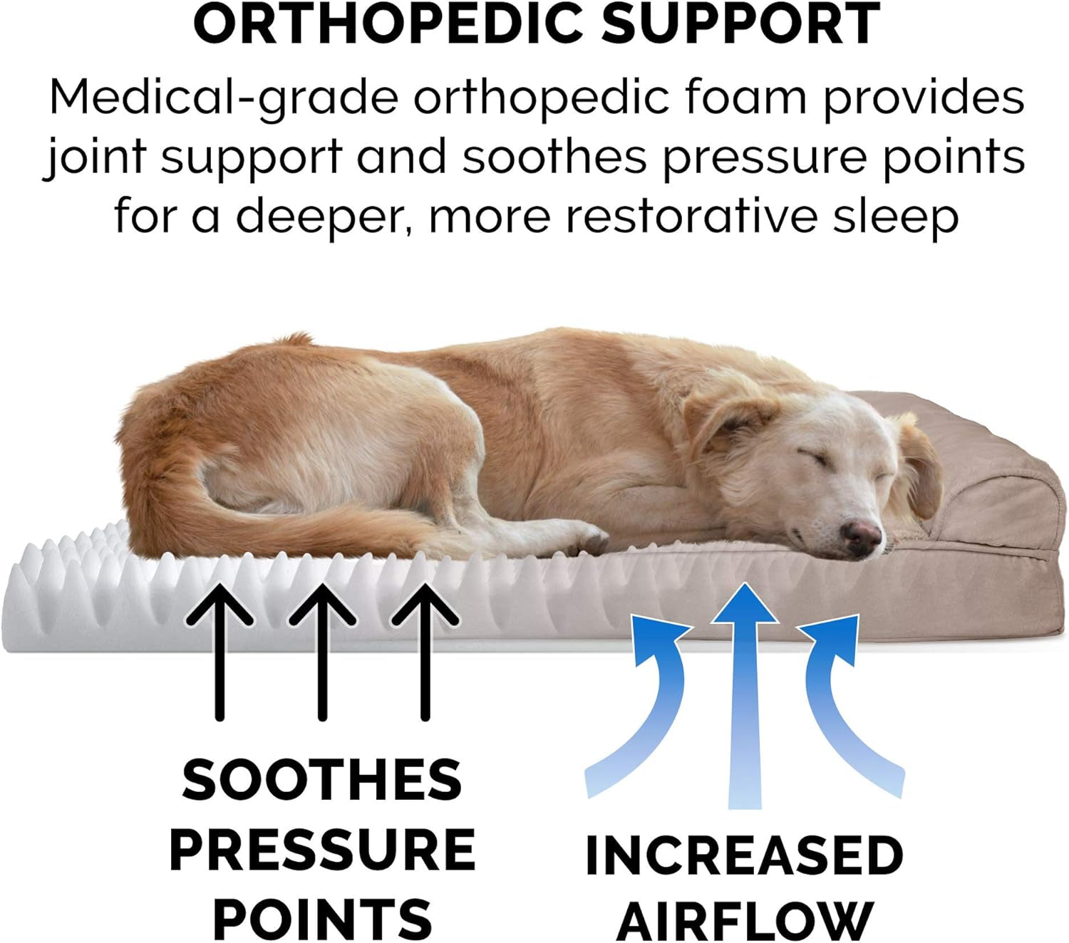 Upgrade your pup's comfort with our Orthopedic Dog Bed! Perfect for medium to large dogs (up to 55 lbs), featuring removable bolsters and a washable cover. Plush suede in Almondine! 🐾🛏️ #DogLovers #PetComfort