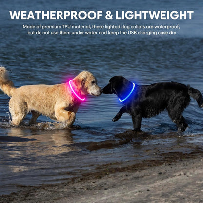 Light up Dog Collar - Waterproof LED Dog Collar Rechargeble, TPU Cuttable Glow in the Dark Safety Dog Lights for Night Walking(Blue)