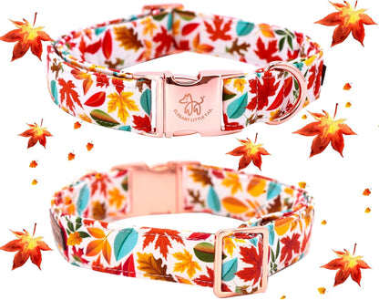 Stylish Fall Dog Collars with Bow Ties - Perfect for Your Furry Fashionista! 🍂🐾
