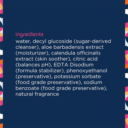 Pet Life Unlimited Pet Wipes for Dogs, Dog Cleaning Wipes - Plant-Based Dog Wipes with Moisturizing Aloe Leaf & Calendula - Made in the USA - Bergamot Apple Scent Dog Grooming Wipes - 40Ct (Pack of 1)