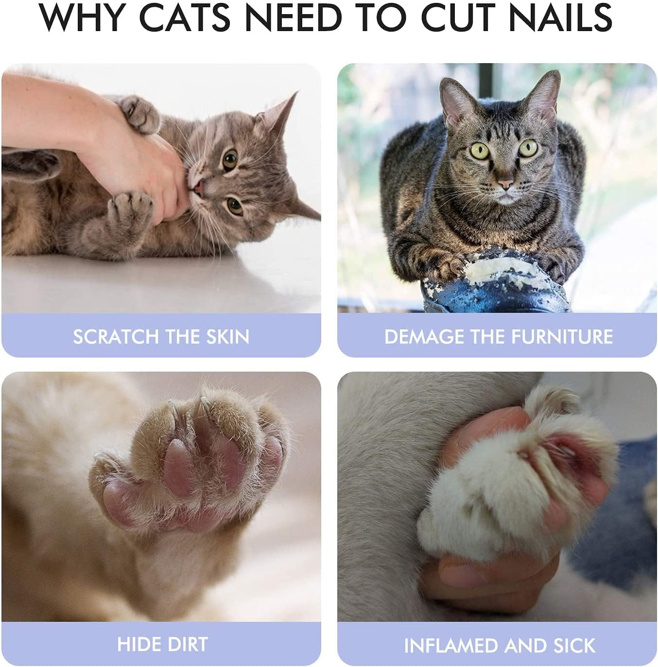 Keep Your Furry Friends Groomed with Our Safe & Easy-to-Use Nail Clippers for Dogs and Cats! 🐾✂️