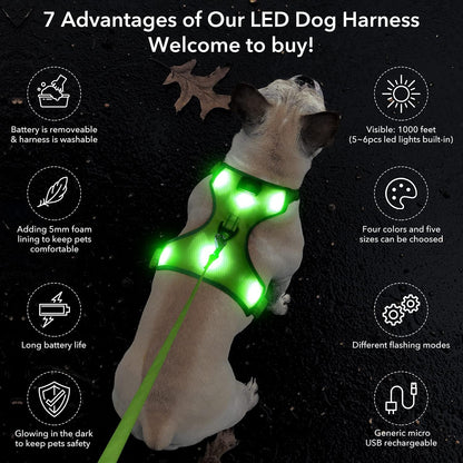Yfbrite Light up Dog Harness - USB Rechargeable LED Dog Harness with Reflective Strips, Comfortable Adjustable Sizes (Green, Medium)