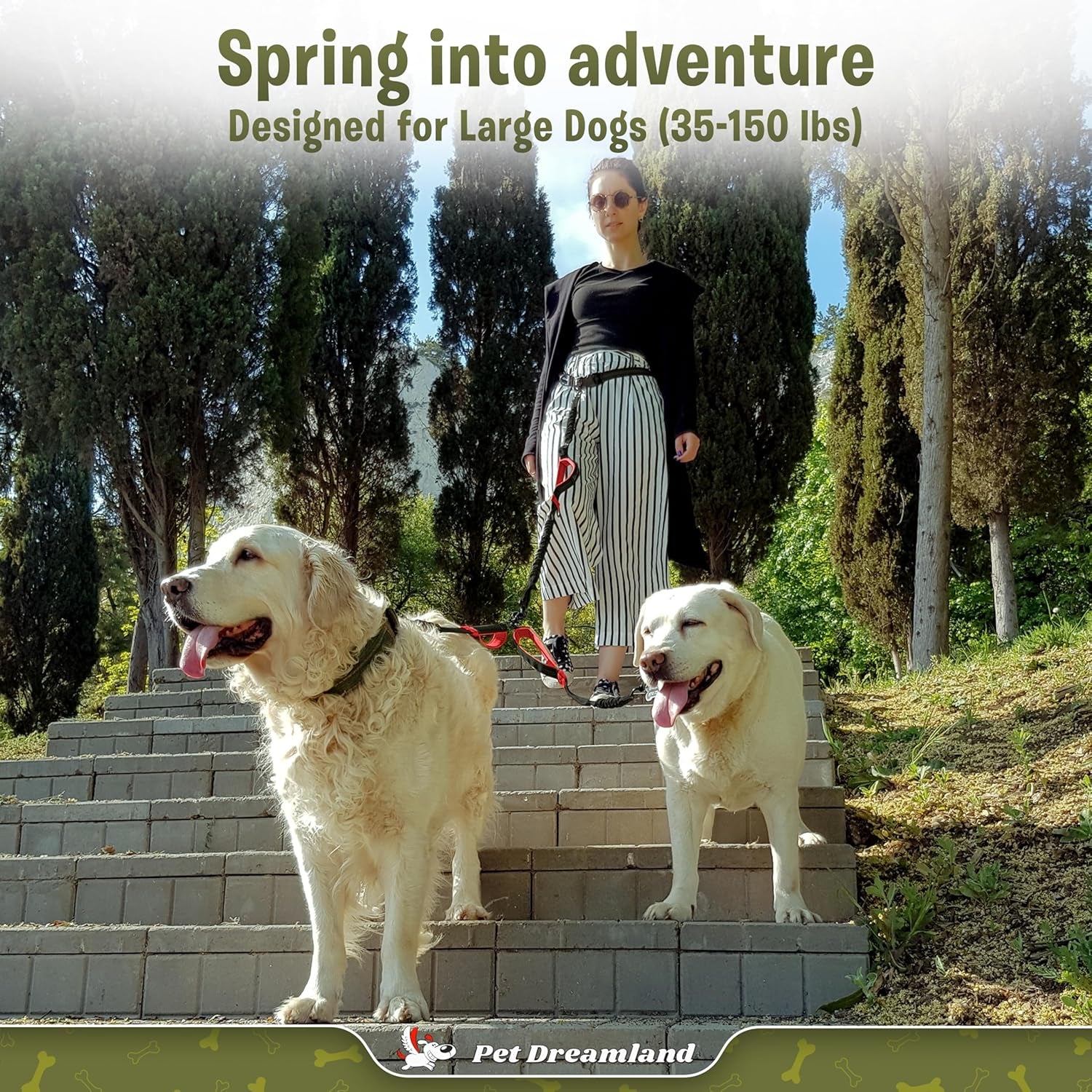 Pet Dreamland Exquisite Hands Free Double Leash for Two Dogs No Tangle. Premium Quality & Versatile Running Your Two Large Dogs. You Will Absolutely Love This Amazing Dual Dog Leash (Black & Red)