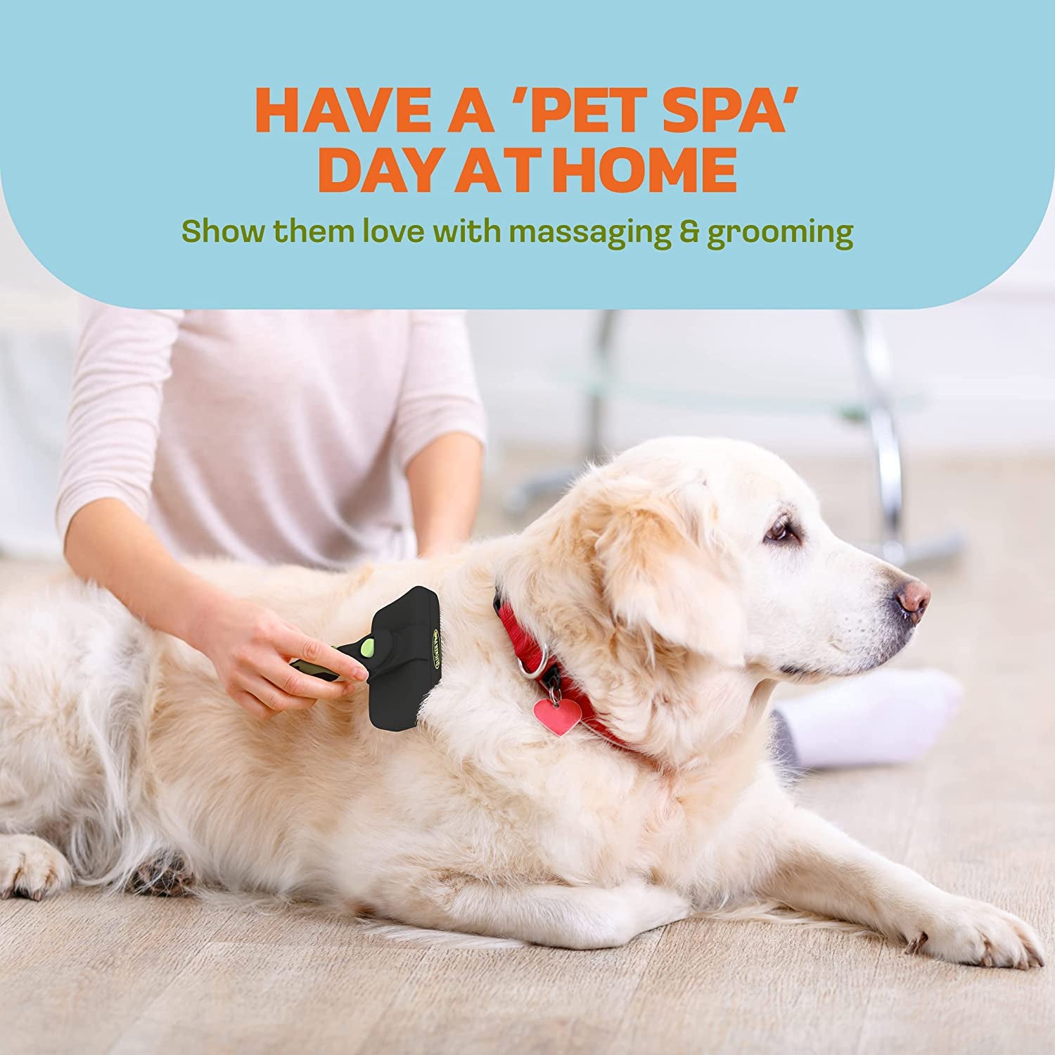 Self-Cleaning Slicker Brush for Long-Haired Dogs and Cats - Grooming and Deshedding Tool for Small Pets