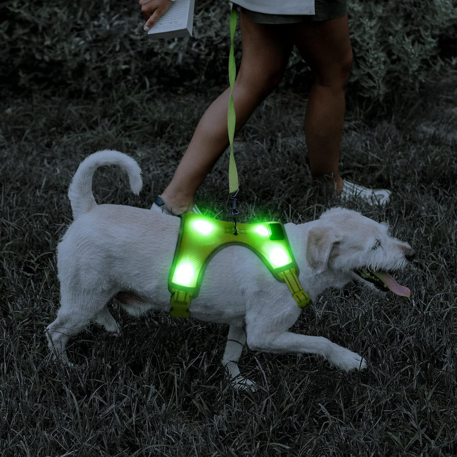 Yfbrite Light up Dog Harness - USB Rechargeable LED Dog Harness with Reflective Strips, Comfortable Adjustable Sizes (Green, Medium)