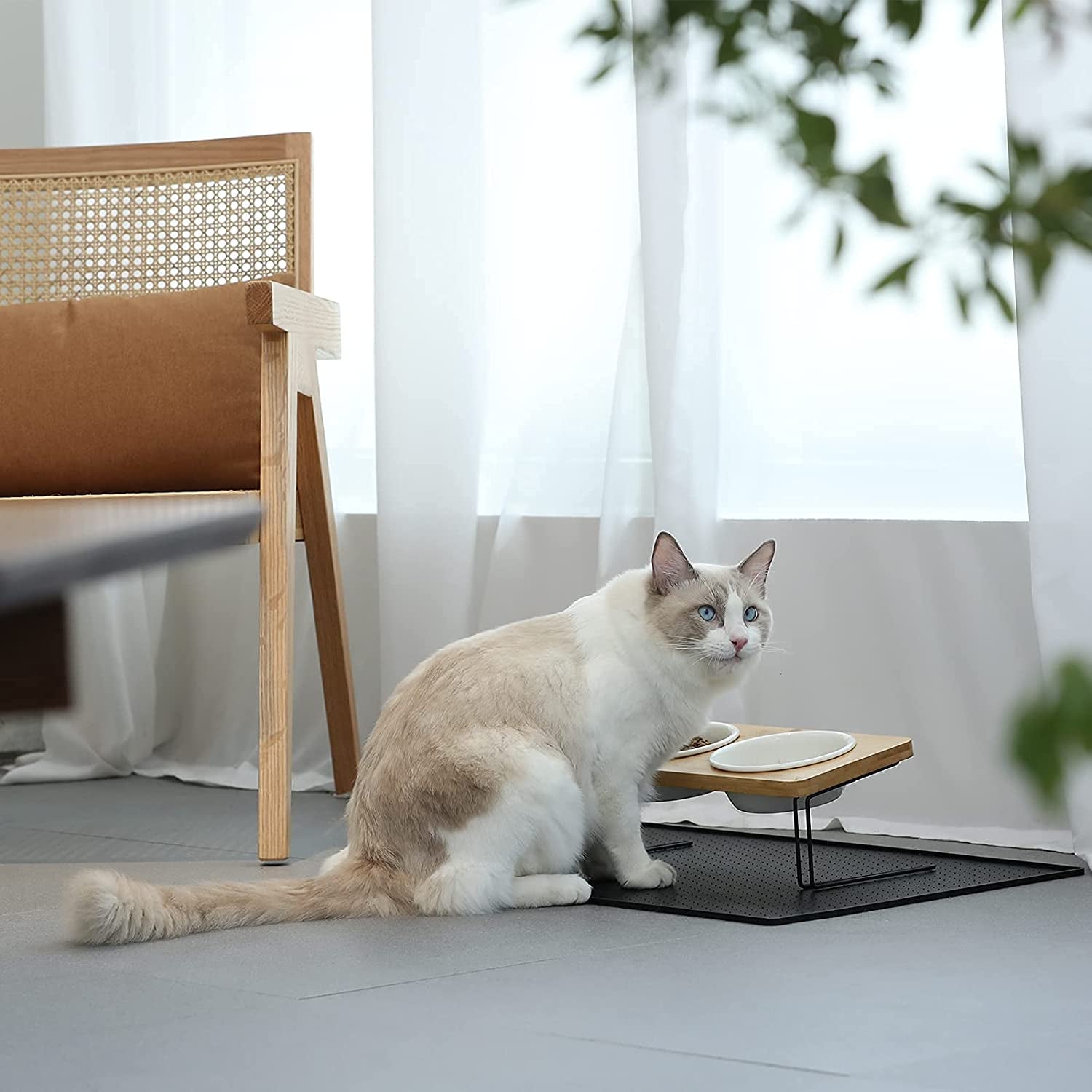 Stylish Elevated Cat & Small Dog Bowls with Bamboo Stand - Perfect Feeding Solution! 🐾✨