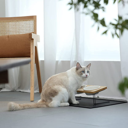 Stylish Elevated Cat & Small Dog Bowls with Bamboo Stand - Perfect Feeding Solution! 🐾✨