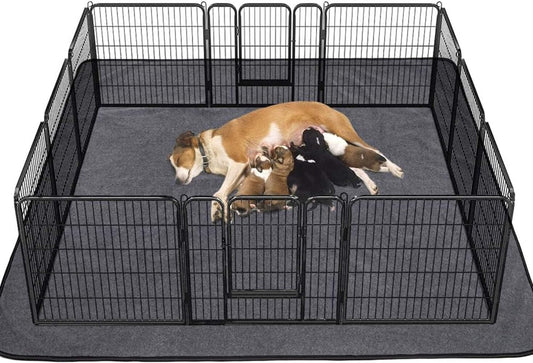 Ultimate Extra Large Washable Dog Pee Pads - Perfect for Puppy Training and Playpens! 🐾💧