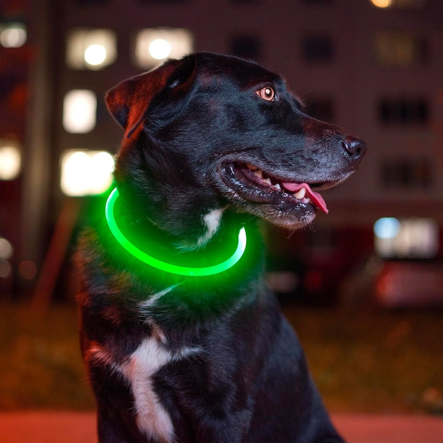 Led Dog Collar, BSEEN USB Rechargeable Flash Dog Necklace Light, Pet Safety Collar Makes Your Beloved Dogs Be Seen at Night for Small Medium Large Dogs(Green)