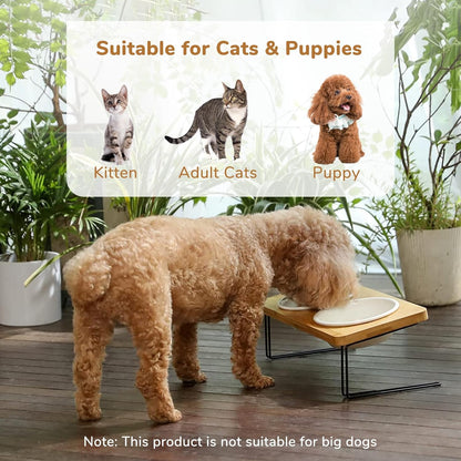 Stylish Elevated Cat & Small Dog Bowls with Bamboo Stand - Perfect Feeding Solution! 🐾✨