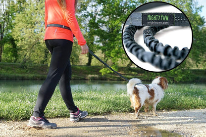 Say goodbye to tangled leashes! 🐾🚶‍♀️ Check out our Hands-Free Bungee Waist Leash for hassle-free dog walks with your furry friends! Perfect for all breeds and sizes! 💪🐶 #DogWalking #HandsFreeLeash