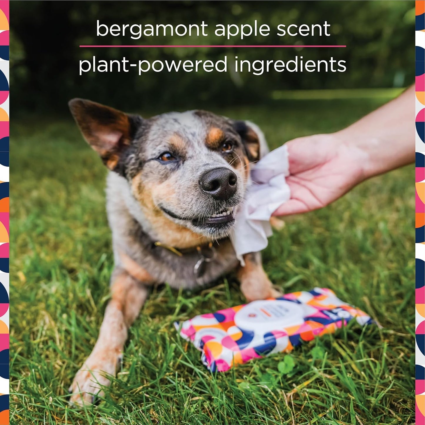 Pet Life Unlimited Pet Wipes for Dogs, Dog Cleaning Wipes - Plant-Based Dog Wipes with Moisturizing Aloe Leaf & Calendula - Made in the USA - Bergamot Apple Scent Dog Grooming Wipes - 40Ct (Pack of 1)