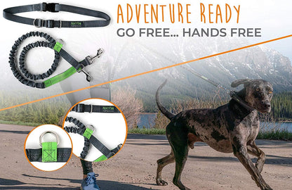 Say goodbye to tangled leashes! 🐾🚶‍♀️ Check out our Hands-Free Bungee Waist Leash for hassle-free dog walks with your furry friends! Perfect for all breeds and sizes! 💪🐶 #DogWalking #HandsFreeLeash