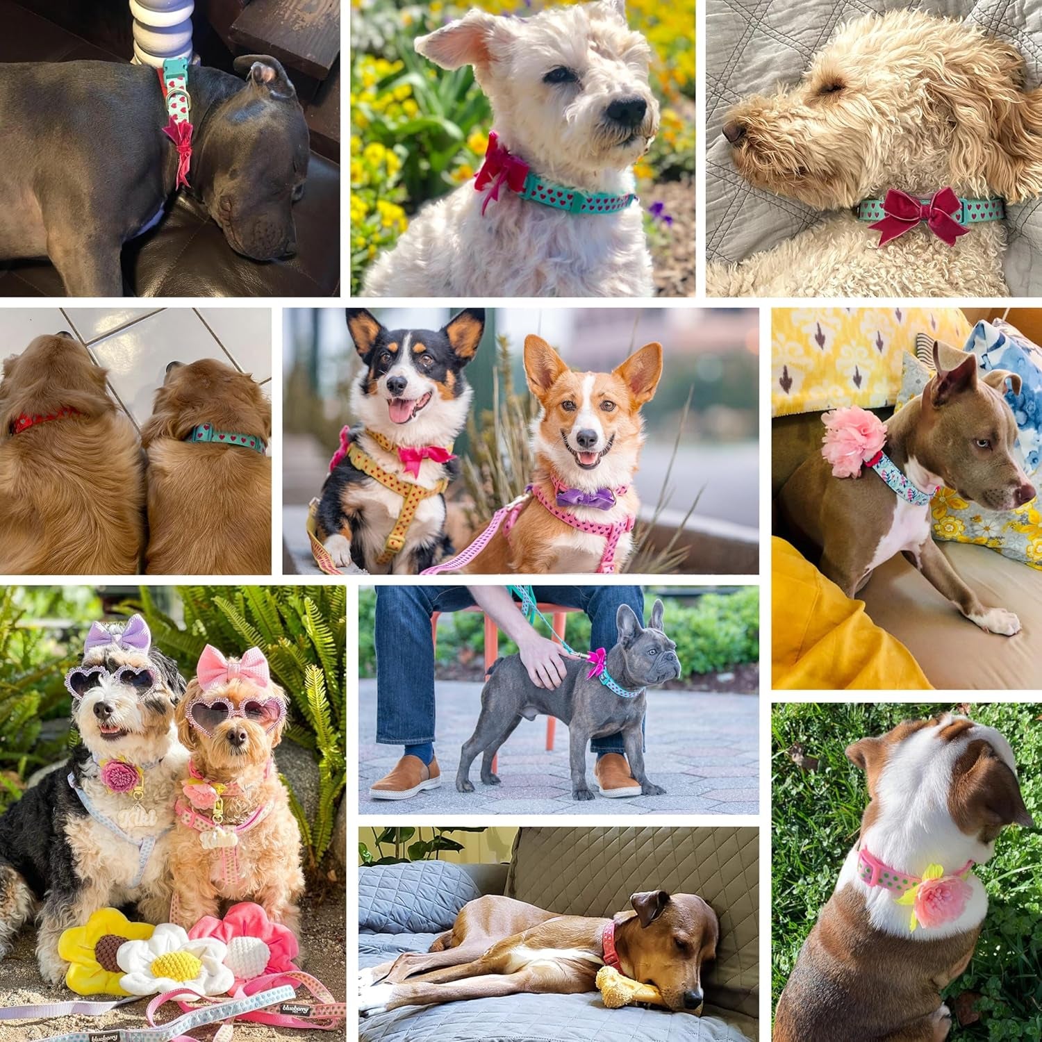 Get the Paw-sitively Adorable Adjustable Pink Polka Dot Dog Collar with Silk Flower - Perfect for Your Stylish Pup! 🌸🐶✨