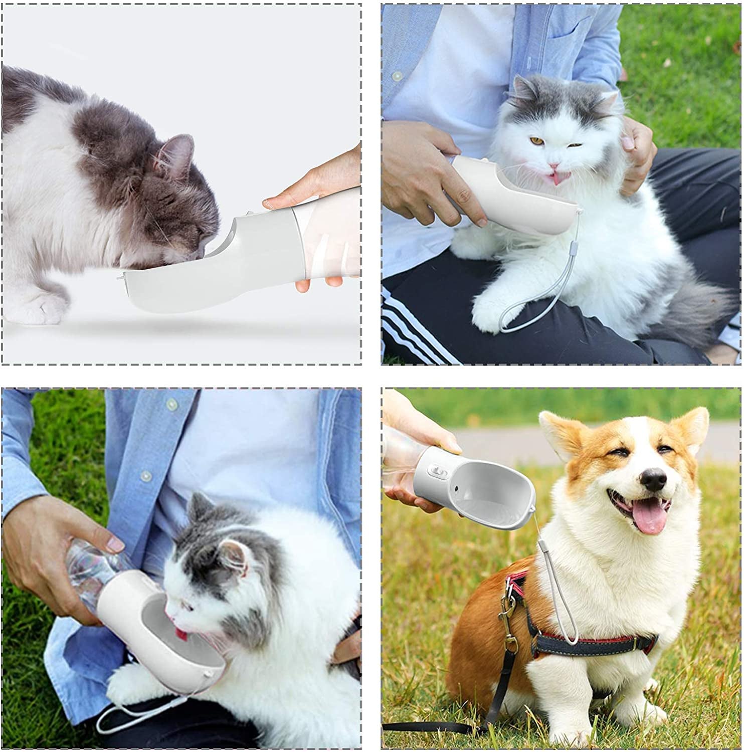 Welkin Portable Dog Water Bottle Pet Drinking Bottle Leak Proof Portable Puppy Water Bottle Dispenser and Cats Water Bottle for Walking Traveling Hiking (Silver/258Ml)