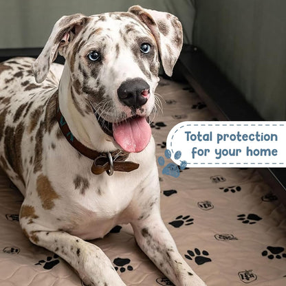 Mess? Paws-itively Gone! 🐾 Snag Our 2-Pack of Reusable Dog Pee Pads – Washable, Waterproof & Whelping-Approved!🐶💧 Sizes: 16.5x19.5 Inches with Rounded Corners for Furry Comfort!✨