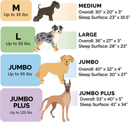 Upgrade your pup's comfort with our Orthopedic Dog Bed! Perfect for medium to large dogs (up to 55 lbs), featuring removable bolsters and a washable cover. Plush suede in Almondine! 🐾🛏️ #DogLovers #PetComfort