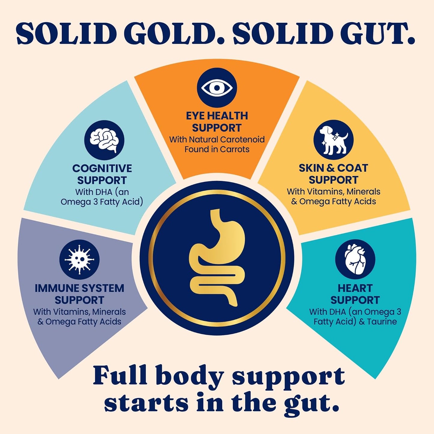 Solid Gold Indoor Dry Cat Food - Grain Free & Gluten Free - Chicken Cat Food Dry Kibble for Indoor Cats W/Probiotics & Fiber for Gut Health - Sensitive Stomach & Hairball Support for Adult Cats -12LB