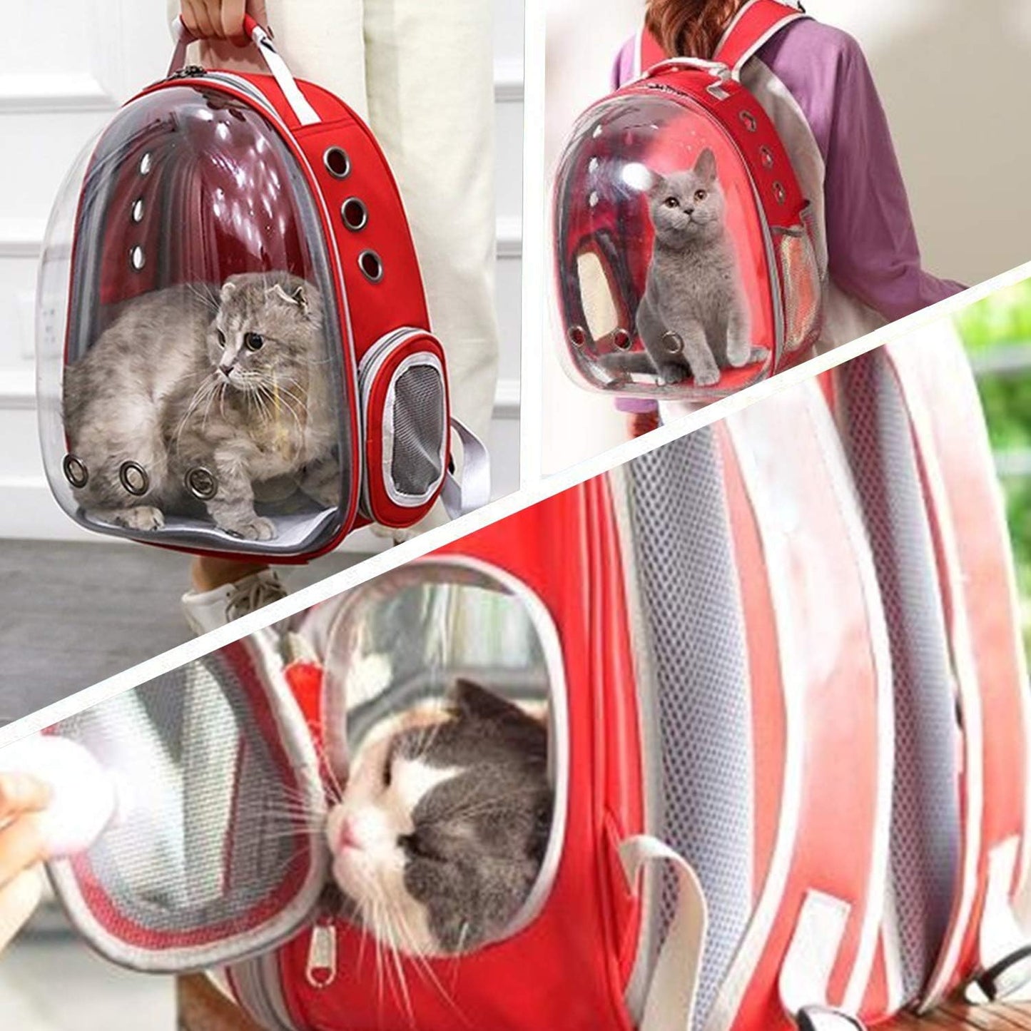 Cat Backpack Carrier, Cats and Small Dogs, Space Capsule Bubble Backpack, Pet Carrier, Airline Approved, Ventilate Transparent Travel Carrier for Hiking, Travel, Ourdoor - Red