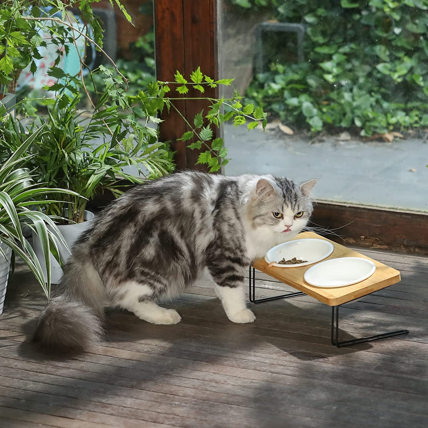 Stylish Elevated Cat & Small Dog Bowls with Bamboo Stand - Perfect Feeding Solution! 🐾✨