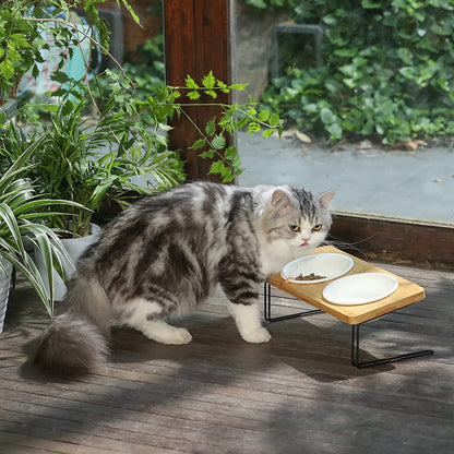 Stylish Elevated Cat & Small Dog Bowls with Bamboo Stand - Perfect Feeding Solution! 🐾✨