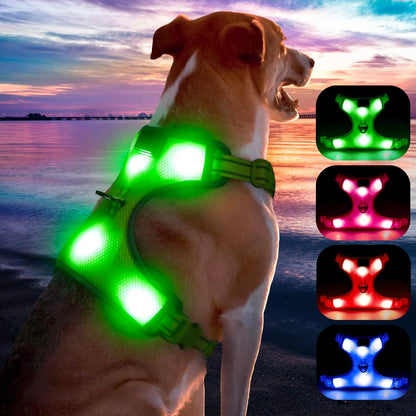 Yfbrite Light up Dog Harness - USB Rechargeable LED Dog Harness with Reflective Strips, Comfortable Adjustable Sizes (Green, Medium)