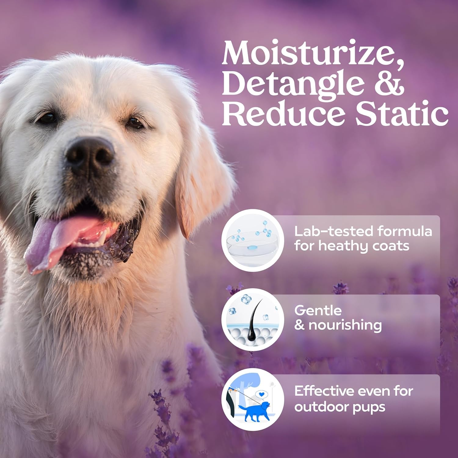 PAWFUME Royal Lavender Dog Detangler Grooming Spray, 1-Pack – Hypoallergenic and Alcohol-Free Formula for Moisturizing and Detangling – Professional Quality Coat and Fur Care for Dogs