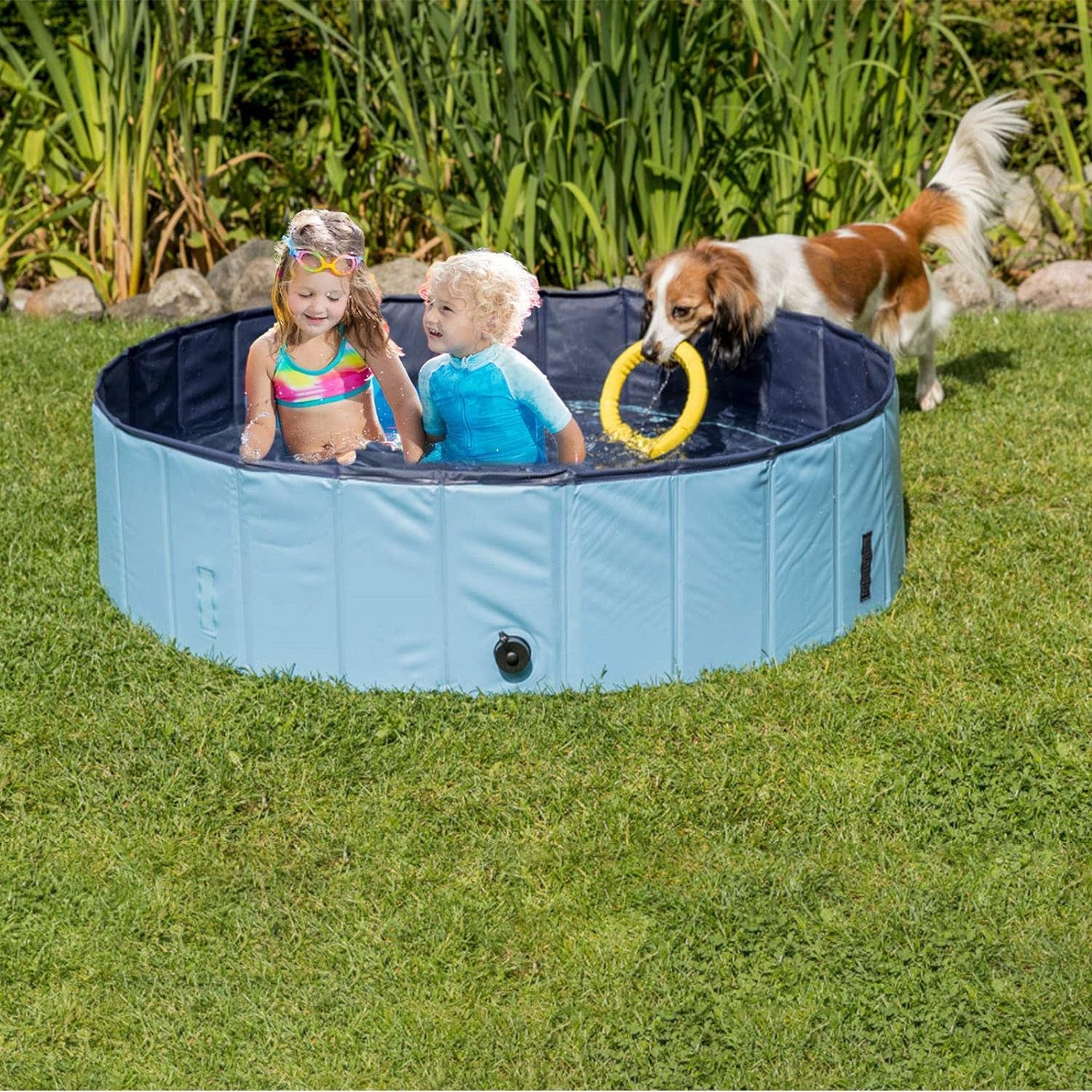 Dreiwasser Dog Pool Foldable Pet Outdoor Swimming Pool Collapsible Anti-Slip Hard PVC Pet Paddling Bathtub for Large and Xtra Large Dogs, Kids, Pets((63'' * 12'')/(160Cm X 30Cm))