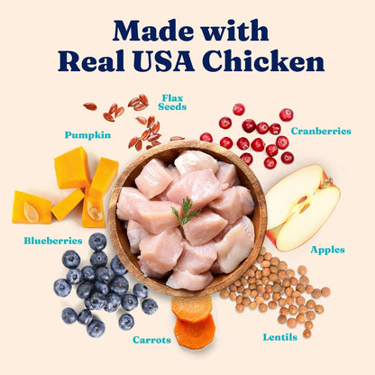 Solid Gold Indoor Dry Cat Food - Grain Free & Gluten Free - Chicken Cat Food Dry Kibble for Indoor Cats W/Probiotics & Fiber for Gut Health - Sensitive Stomach & Hairball Support for Adult Cats -12LB